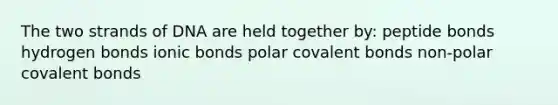 The two strands of DNA are held together by: peptide bonds hydrogen bonds ionic bonds polar covalent bonds non-polar covalent bonds