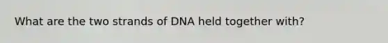 What are the two strands of DNA held together with?