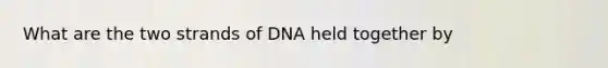 What are the two strands of DNA held together by