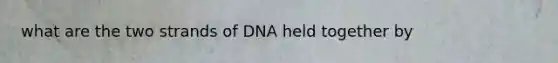 what are the two strands of DNA held together by