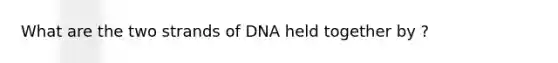 What are the two strands of DNA held together by ?