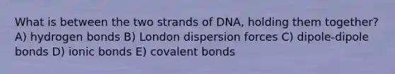 What is between the two strands of DNA, holding them together? A) hydrogen bonds B) London dispersion forces C) dipole-dipole bonds D) ionic bonds E) covalent bonds