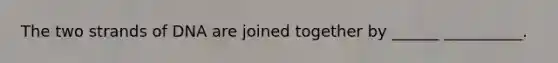 The two strands of DNA are joined together by ______ __________.