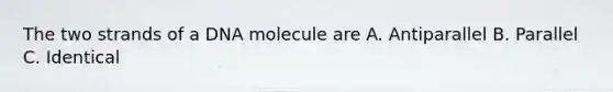 The two strands of a DNA molecule are A. Antiparallel B. Parallel C. Identical