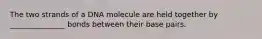 The two strands of a DNA molecule are held together by _______________ bonds between their base pairs.
