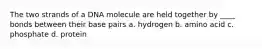 The two strands of a DNA molecule are held together by ____ bonds between their base pairs a. hydrogen b. amino acid c. phosphate d. protein