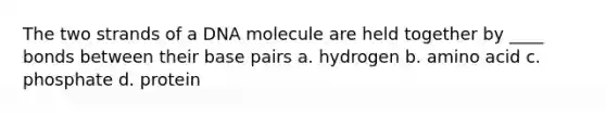 The two strands of a DNA molecule are held together by ____ bonds between their base pairs a. hydrogen b. amino acid c. phosphate d. protein