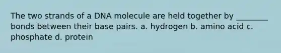 The two strands of a DNA molecule are held together by ________ bonds between their base pairs. a. hydrogen b. amino acid c. phosphate d. protein