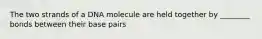 The two strands of a DNA molecule are held together by ________ bonds between their base pairs