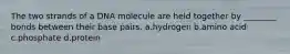 The two strands of a DNA molecule are held together by ________ bonds between their base pairs. a.hydrogen b.amino acid c.phosphate d.protein