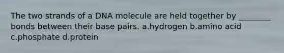 The two strands of a DNA molecule are held together by ________ bonds between their base pairs. a.hydrogen b.amino acid c.phosphate d.protein