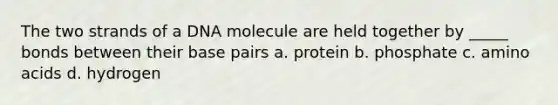 The two strands of a DNA molecule are held together by _____ bonds between their base pairs a. protein b. phosphate c. amino acids d. hydrogen