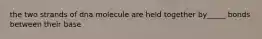 the two strands of dna molecule are held together by_____ bonds between their base