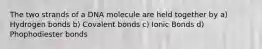 The two strands of a DNA molecule are held together by a) Hydrogen bonds b) Covalent bonds c) Ionic Bonds d) Phophodiester bonds