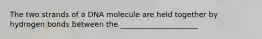 The two strands of a DNA molecule are held together by hydrogen bonds between the _____________________