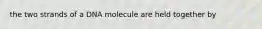 the two strands of a DNA molecule are held together by