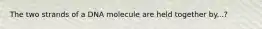 The two strands of a DNA molecule are held together by...?