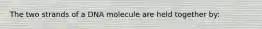 The two strands of a DNA molecule are held together by: