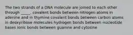 The two strands of a DNA molecule are joined to each other through _____. covalent bonds between nitrogen atoms in adenine and in thymine covalent bonds between carbon atoms in deoxyribose molecules hydrogen bonds between nucleotide bases ionic bonds between guanine and cytosine