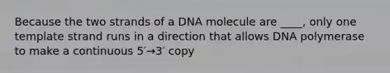 Because the two strands of a DNA molecule are ____, only one template strand runs in a direction that allows DNA polymerase to make a continuous 5′→3′ copy