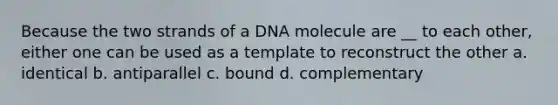 Because the two strands of a DNA molecule are __ to each other, either one can be used as a template to reconstruct the other a. identical b. antiparallel c. bound d. complementary