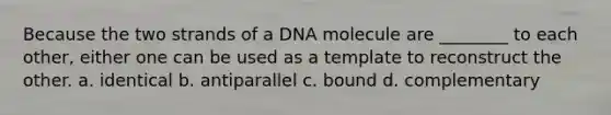 Because the two strands of a DNA molecule are ________ to each other, either one can be used as a template to reconstruct the other. a. identical b. antiparallel c. bound d. complementary