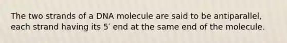 The two strands of a DNA molecule are said to be antiparallel, each strand having its 5′ end at the same end of the molecule.