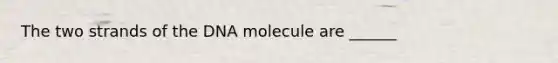 The two strands of the DNA molecule are ______