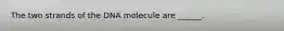 The two strands of the DNA molecule are ______.