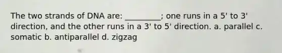 The two strands of DNA are: _________; one runs in a 5' to 3' direction, and the other runs in a 3' to 5' direction. a. parallel c. somatic b. antiparallel d. zigzag