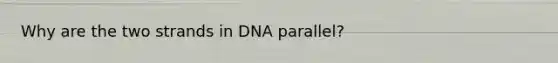 Why are the two strands in DNA parallel?