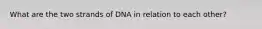 What are the two strands of DNA in relation to each other?