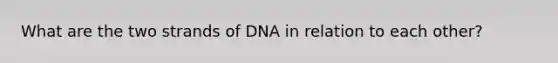 What are the two strands of DNA in relation to each other?