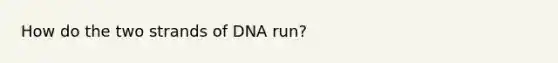 How do the two strands of DNA run?