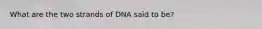 What are the two strands of DNA said to be?