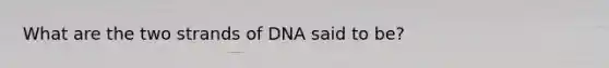 What are the two strands of DNA said to be?