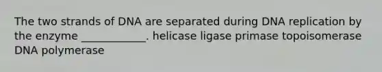 The two strands of DNA are separated during DNA replication by the enzyme ____________. helicase ligase primase topoisomerase DNA polymerase