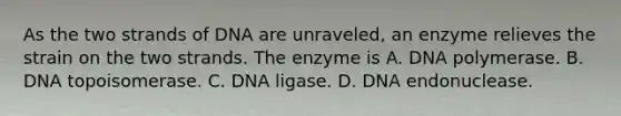 As the two strands of DNA are unraveled, an enzyme relieves the strain on the two strands. The enzyme is A. DNA polymerase. B. DNA topoisomerase. C. DNA ligase. D. DNA endonuclease.