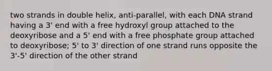 two strands in double helix, anti-parallel, with each DNA strand having a 3' end with a free hydroxyl group attached to the deoxyribose and a 5' end with a free phosphate group attached to deoxyribose; 5' to 3' direction of one strand runs opposite the 3'-5' direction of the other strand