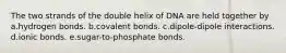 The two strands of the double helix of DNA are held together by a.hydrogen bonds. b.covalent bonds. c.dipole-dipole interactions. d.ionic bonds. e.sugar-to-phosphate bonds.