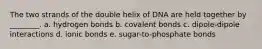 The two strands of the double helix of DNA are held together by ________. a. hydrogen bonds b. covalent bonds c. dipole-dipole interactions d. ionic bonds e. sugar-to-phosphate bonds