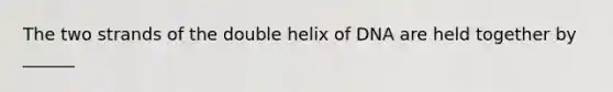 The two strands of the double helix of DNA are held together by ______