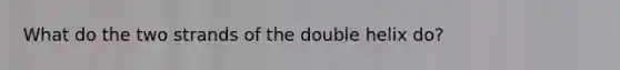 What do the two strands of the double helix do?