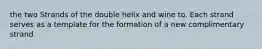 the two Strands of the double helix and wine to. Each strand serves as a template for the formation of a new complimentary strand