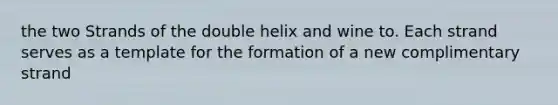 the two Strands of the double helix and wine to. Each strand serves as a template for the formation of a new complimentary strand