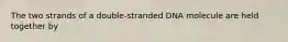 The two strands of a double-stranded DNA molecule are held together by