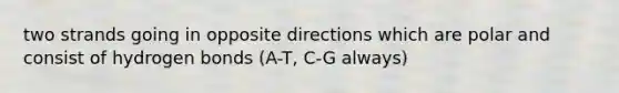 two strands going in opposite directions which are polar and consist of hydrogen bonds (A-T, C-G always)