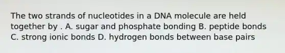 The two strands of nucleotides in a DNA molecule are held together by . A. sugar and phosphate bonding B. peptide bonds C. strong ionic bonds D. hydrogen bonds between base pairs