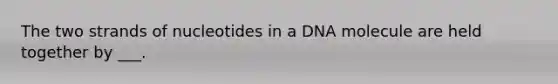 The two strands of nucleotides in a DNA molecule are held together by ___.