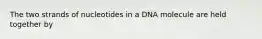 The two strands of nucleotides in a DNA molecule are held together by